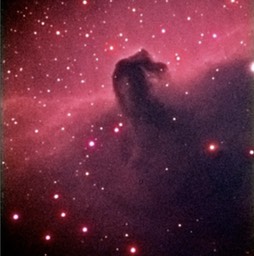 Horsehead