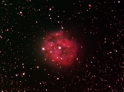 ic5146-rgb