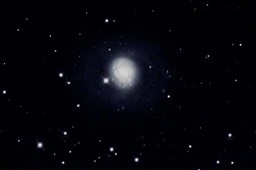 m77-color