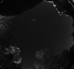 Meteor 20150813