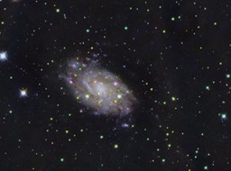 NGC2403_LRGB