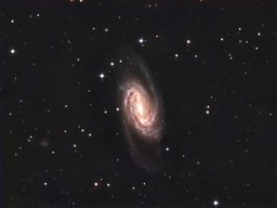 ngc2903_RGB_DBE