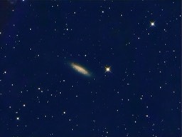 ngc6503-LRGB
